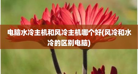 电脑水冷主机和风冷主机哪个好(风冷和水冷的区别电脑)