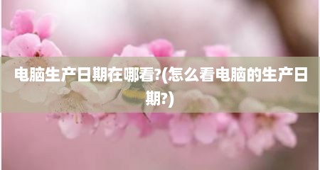 电脑生产日期在哪看?(怎么看电脑的生产日期?)