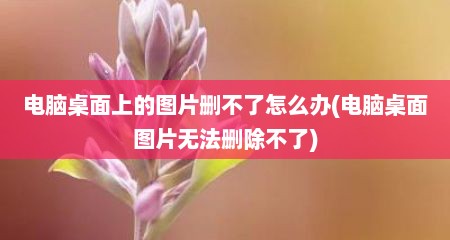 电脑桌面上的图片删不了怎么办(电脑桌面图片无法删除不了)