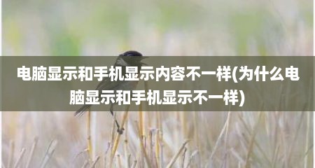 电脑显示和手机显示内容不一样(为什么电脑显示和手机显示不一样)