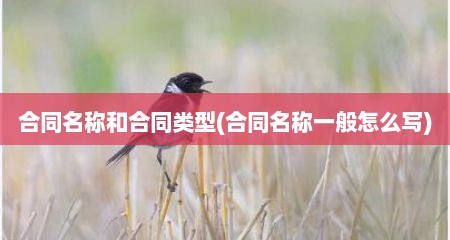 合同名称和合同类型(合同名称一般怎么写)