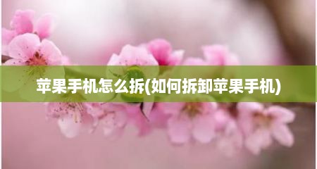 苹果手机怎么拆(如何拆卸苹果手机)