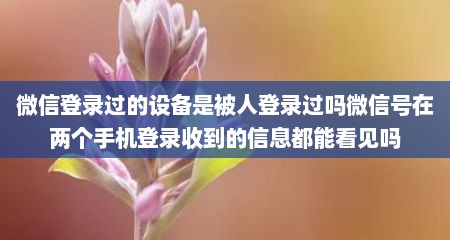 微信登录过的设备是被人登录过吗微信号在两个手机登录收到的信息都能看见吗