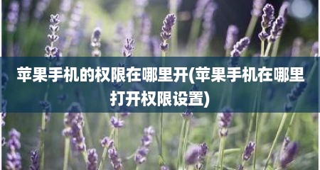 苹果手机的权限在哪里开(苹果手机在哪里打开权限设置)