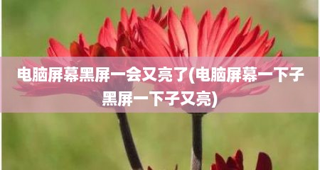 电脑屏幕黑屏一会又亮了(电脑屏幕一下子黑屏一下子又亮)