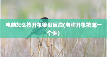 电脑怎么按开机键没反应(电脑开机按哪一个健)