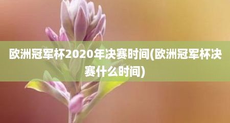 欧洲冠军杯2020年决赛时间(欧洲冠军杯决赛什么时间)