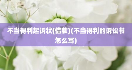 不当得利起诉状(借款)(不当得利的诉讼书怎么写)