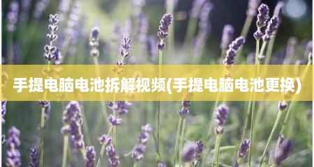 手提电脑电池拆解视频(手提电脑电池更换)