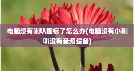 电脑没有喇叭图标了怎么办(电脑没有小喇叭没有音频设备)