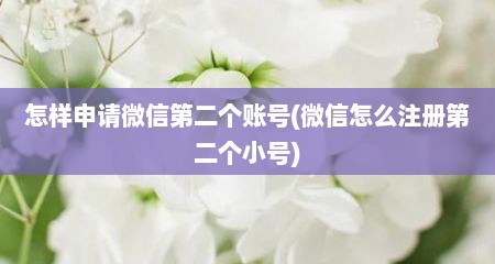怎样申请微信第二个账号(微信怎么注册第二个小号)