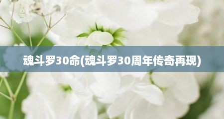 魂斗罗30命(魂斗罗30周年传奇再现)