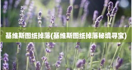 基维斯图纸掉落(基维斯图纸掉落秘境寻宝)