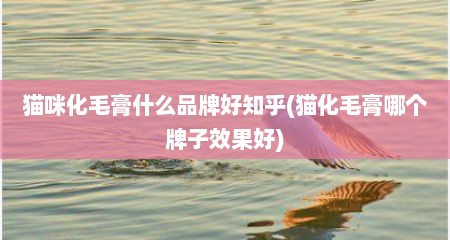 猫咪化毛膏什么品牌好知乎(猫化毛膏哪个牌子效果好)