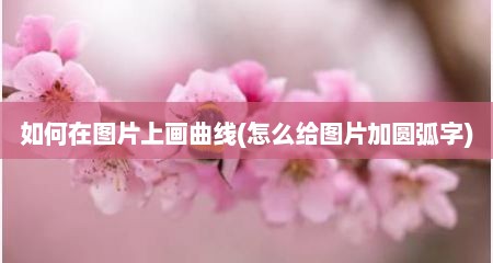如何在图片上画曲线(怎么给图片加圆弧字)