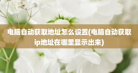 电脑自动获取地址怎么设置(电脑自动获取ip地址在哪里显示出来)