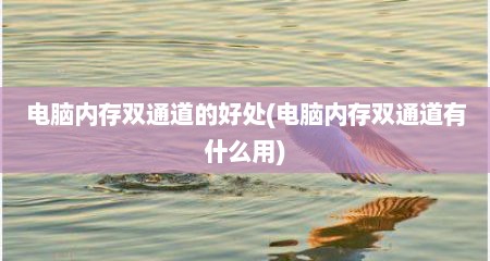 电脑内存双通道的好处(电脑内存双通道有什么用)