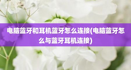 电脑蓝牙和耳机蓝牙怎么连接(电脑蓝牙怎么与蓝牙耳机连接)