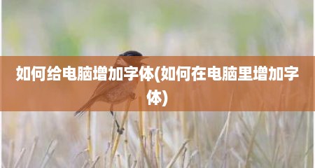 如何给电脑增加字体(如何在电脑里增加字体)