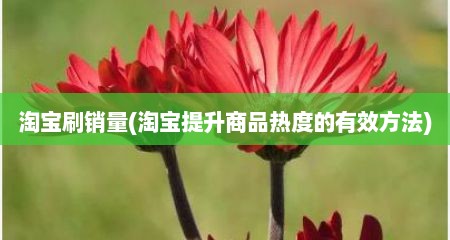 淘宝刷销量(淘宝缇升商品热度的有效方法)