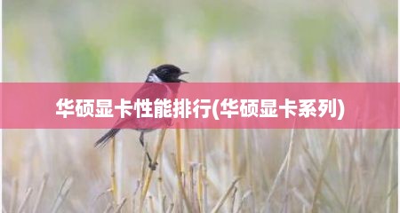华硕显卡性能排行(华硕显卡系列)