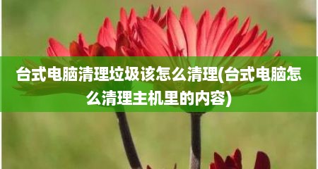 台式电脑清理垃圾该怎么清理(台式电脑怎么清理主机里的内容)