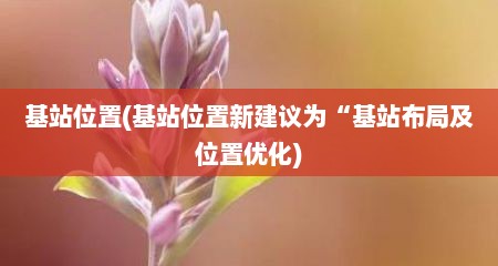 基站位置(基站位置新建议为“基站布局及位置优化)