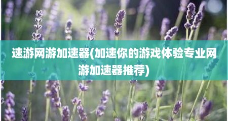 速游网游加速器(加速你的游戏体验专业网游加速器推荐)
