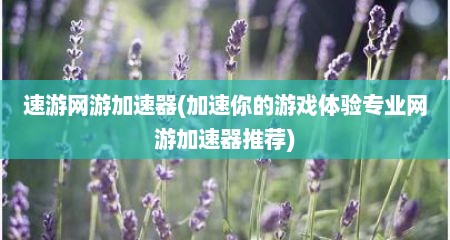 速游网游加速器(加速尔的游戏体验专业网游加速器推荐)