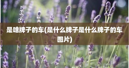 是啥牌子的车(是什么牌子是什么牌子的车图片)