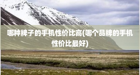 哪种牌子的手机性价比高(哪个品牌的手机性价比最好)