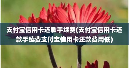 支付宝信用卡还款手续费(支付宝信用卡还款手续费支付宝信用卡还款费用低)