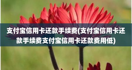 支付宝信用卡述款手续费(支付宝信用卡述款手续费支付宝信用卡述款费用低)