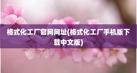 格式化工厂官网网址(格式化工厂手机版下载中文版)