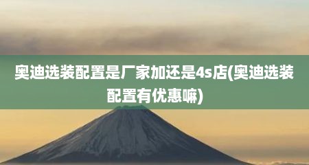奥迪选装配置是厂家加还是4s店(奥迪选装配置有优惠嘛)
