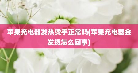 苹果充电器发热烫手正常吗(苹果充电器会发烫怎么回事)