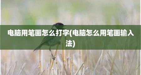 电脑用笔画怎么打字(电脑怎么用笔画输入法)