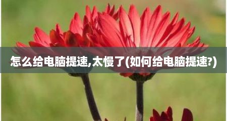 怎么给电脑提速,太慢了(如何给电脑提速?)