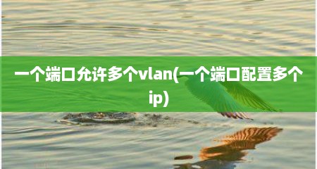 一个端口允许多个vlan(一个端口配置多个ip)
