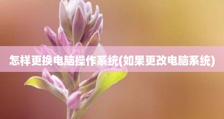 怎样更换电脑操作系统(如果更改电脑系统)