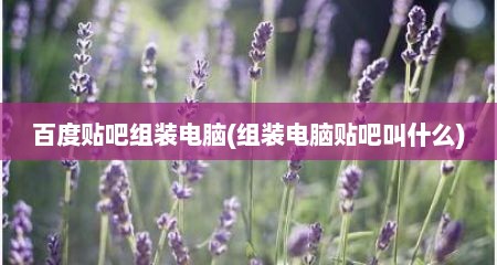 百度贴吧组装电脑(组装电脑贴吧叫什么)