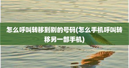 怎么呼叫转移到别的号码(怎么手机呼叫转移另一部手机)