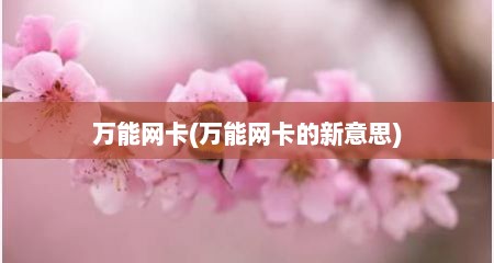 万能网卡(万能网卡的新意思)