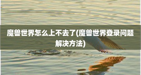 魔兽世界怎么上不去了(魔兽世界登录问题解决方法)