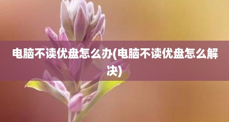 电脑不读优盘怎么办(电脑不读优盘怎么解决)