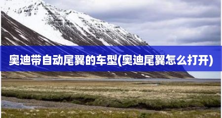 奥迪带自动尾翼的车型(奥迪尾翼怎么打开)