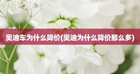 奥迪车为什么降价(奥迪为什么降价那么多)