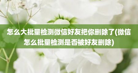 怎么大批量检测微信好友把你删除了(微信怎么批量检测是否被好友删除)