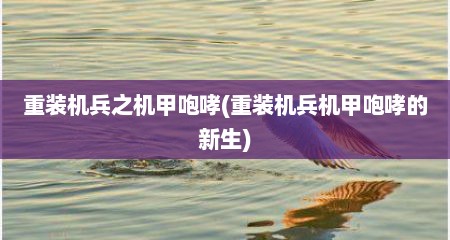 重装机兵之机甲咆哮(重装机兵机甲咆哮的新生)