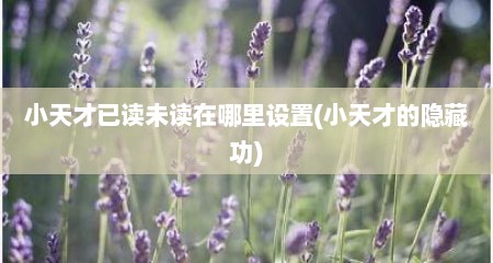 小天才已读未读在哪里设置(小天才的隐藏功)